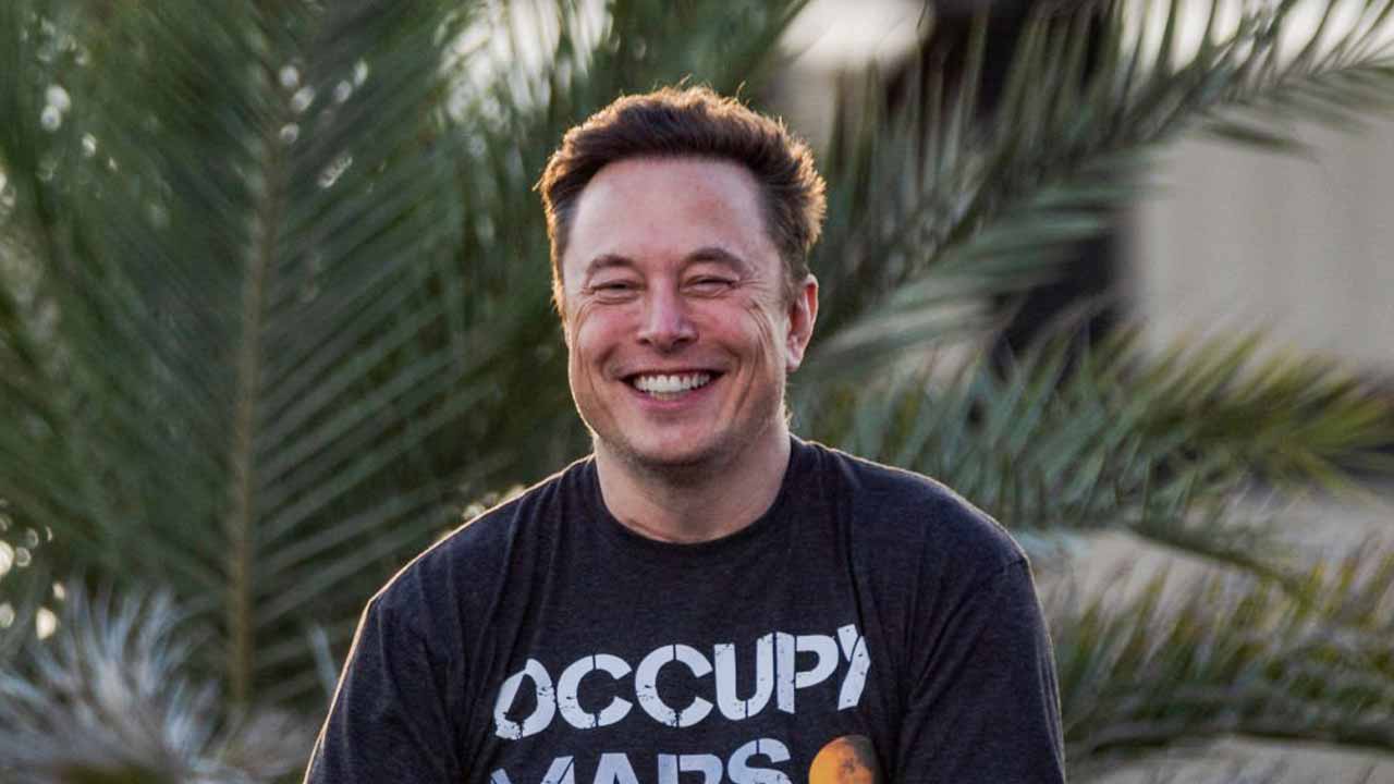 Elon Musk Uses Tesla Earnings Call To Brag About How Popular He Is On