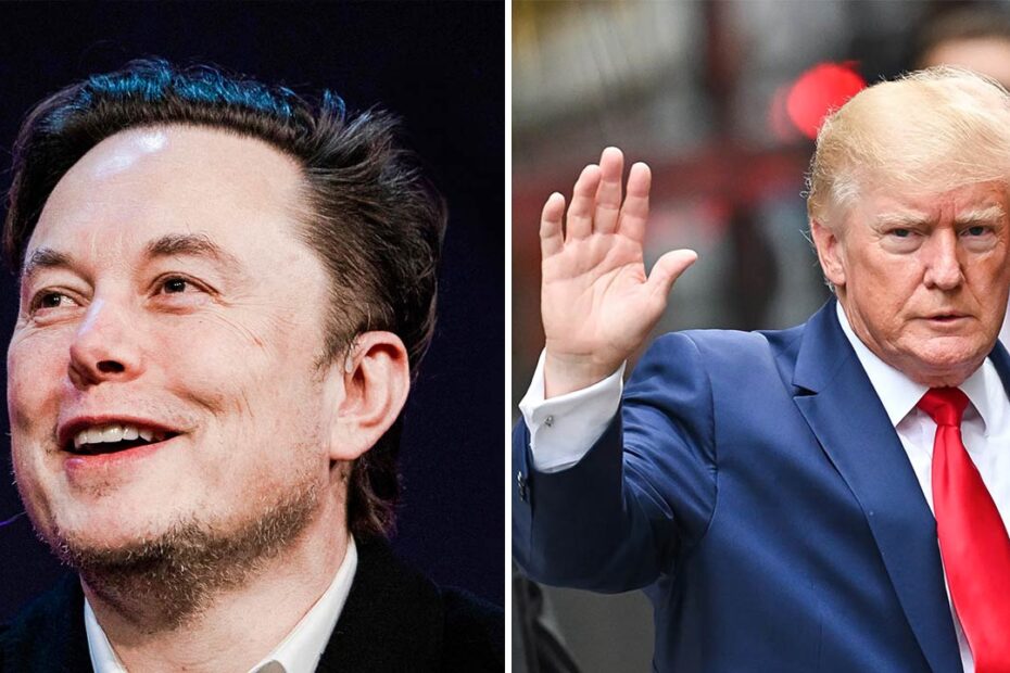 Elon Musk says Twitter banning Donald Trump was a 'serious mistake'