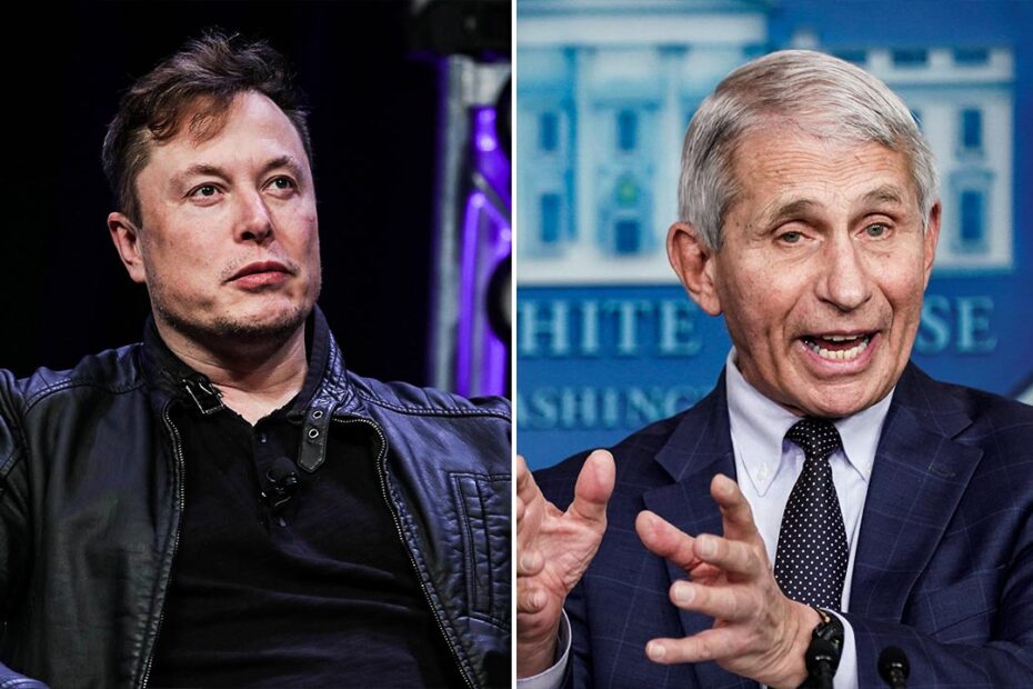 Elon Musk claimed Twitter employees had a Slack channel called 'Fauci Fan Club' in reference to the White House's chief medical advisor