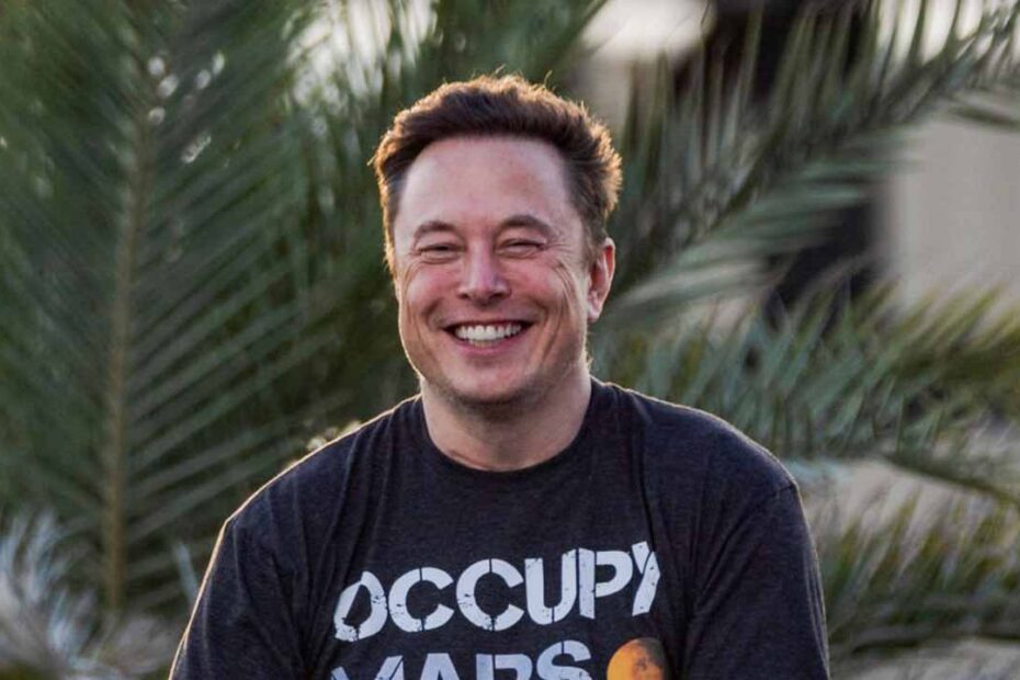 Elon Musk uses Tesla earnings call to brag about how popular he is on Twitter