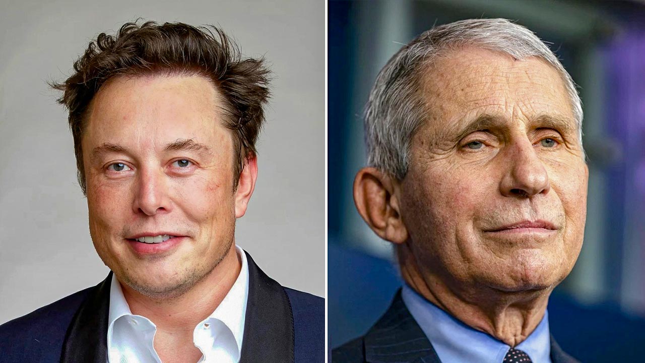 Elon Musk teases release of the 'Fauci Files,' following his previous scathing criticism of the medical expert