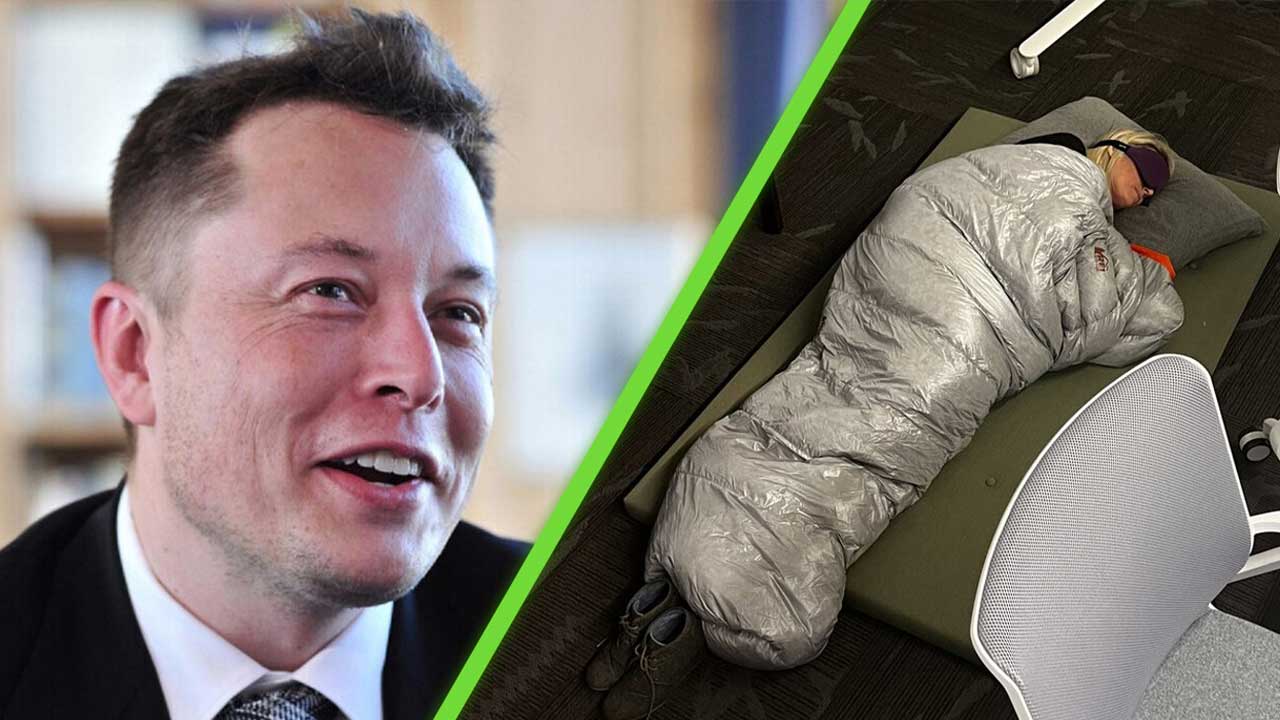 Elon Musk fired Esther Crawford, the creator of Twitter Blue who slept in the office to prove her loyalty