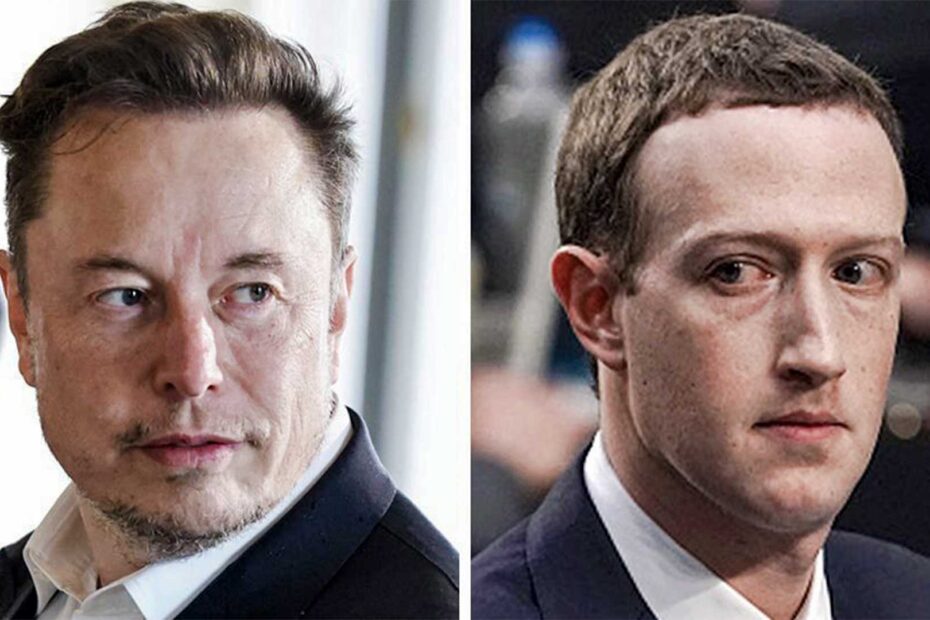 A ‘Cage Match’ Between Elon Musk and Mark Zuckerberg May Be No Joke