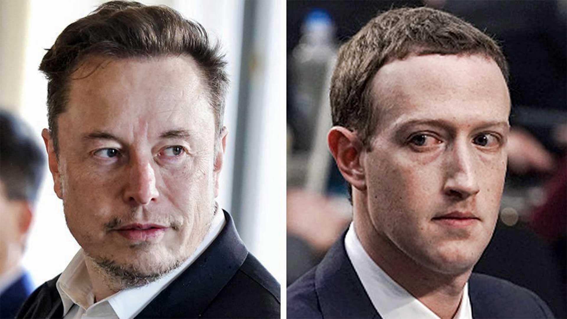 A ‘Cage Match’ Between Elon Musk and Mark Zuckerberg May Be No Joke