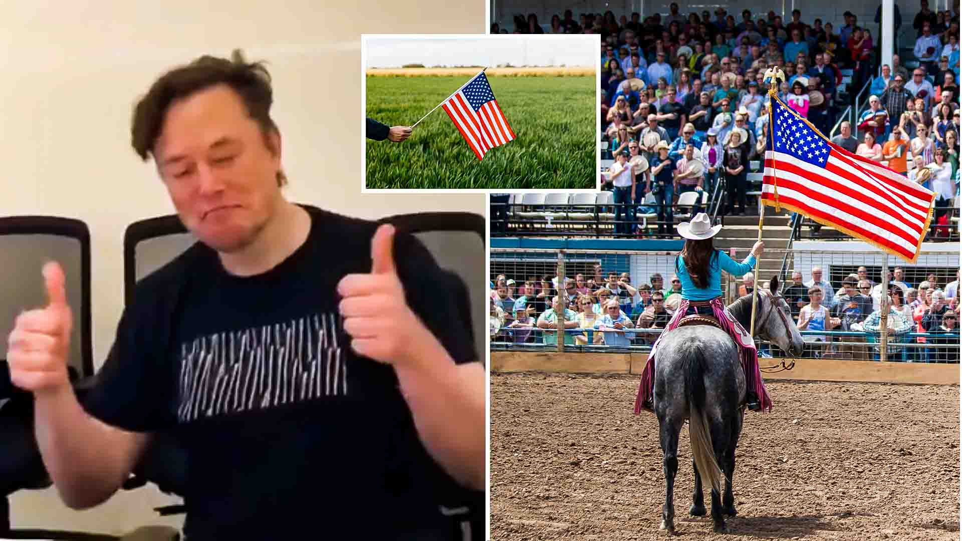 Elon Musk Declares Singular National Anthem and Flag