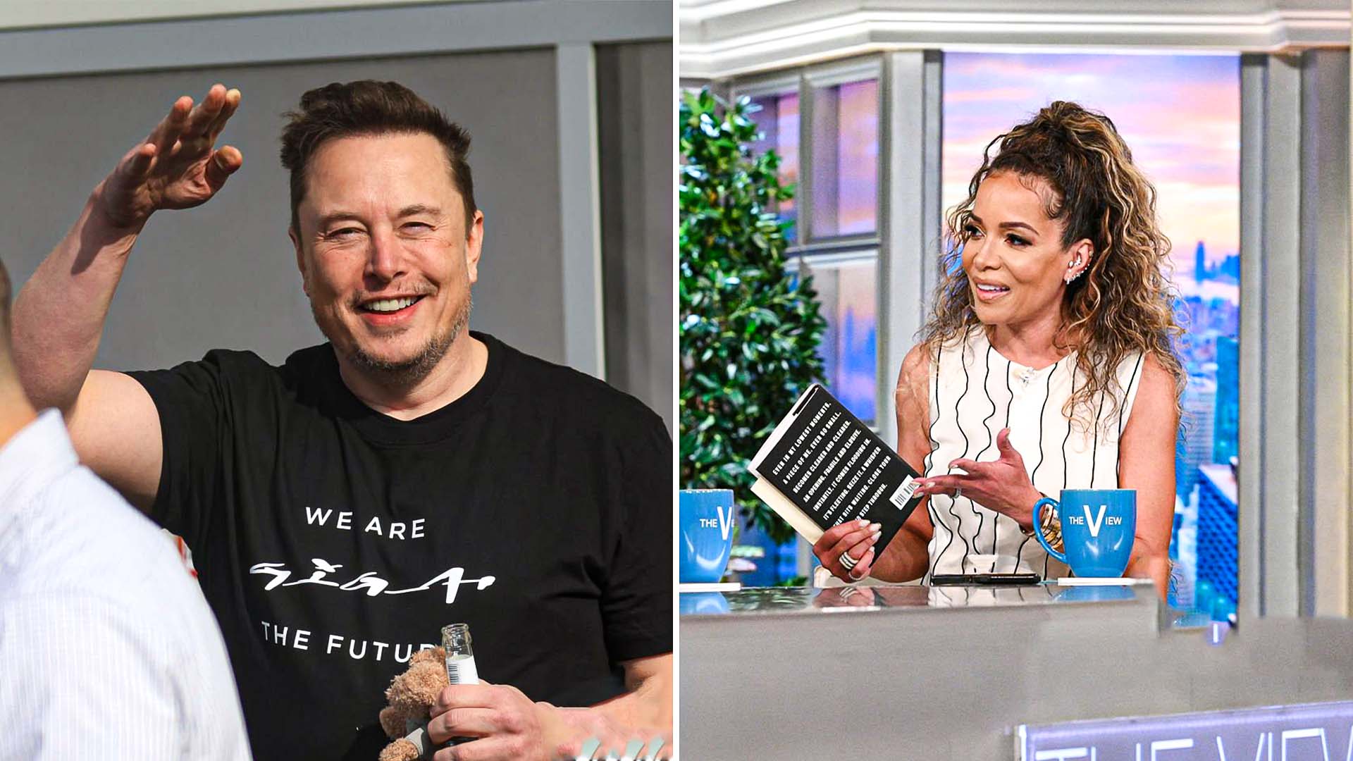 Sunny Hostin Flops After Clashing With Elon Musk On The View