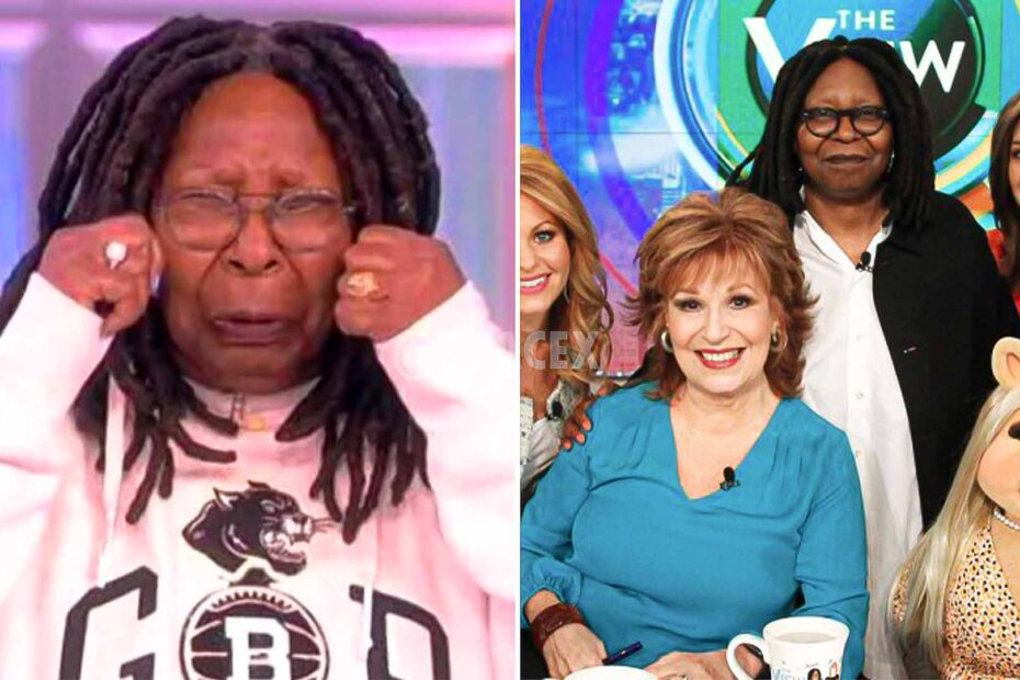 'The View' Ratings Drop 75% Because Of Whoopi Goldberg