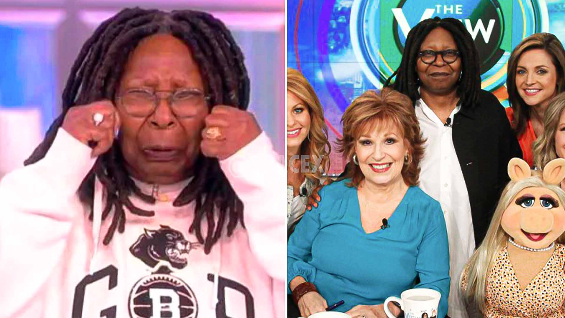 'The View' Ratings Drop 75% Because Of Whoopi Goldberg