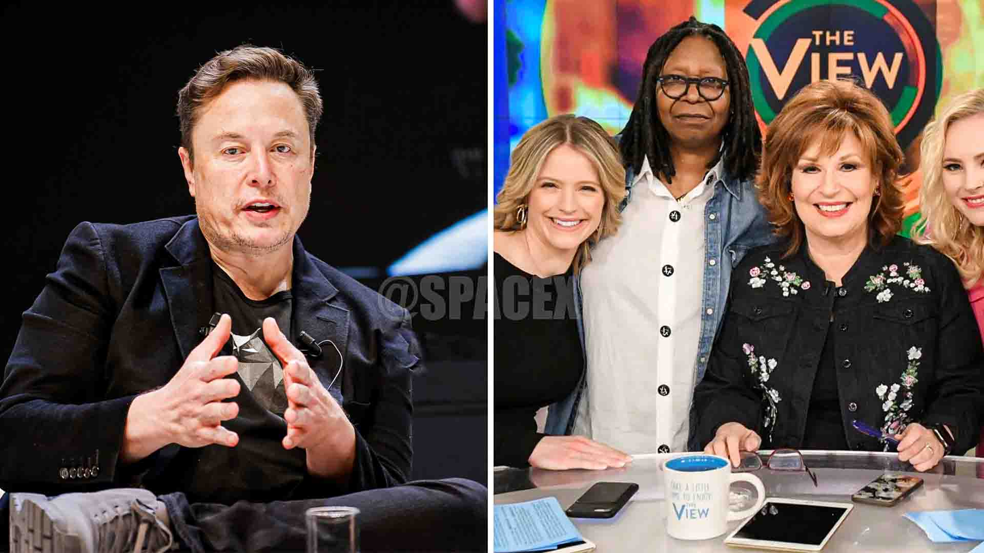 Elon Musk Sues 'The View' For $1 Billion