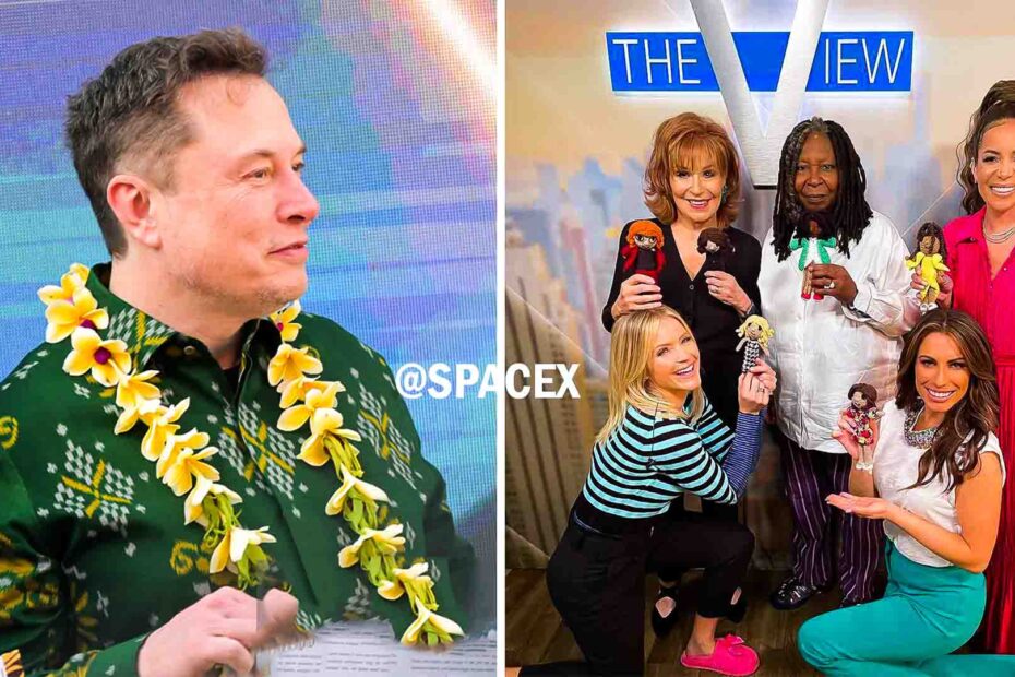 Elon Musk Is Buying 'The View' For $500 Million