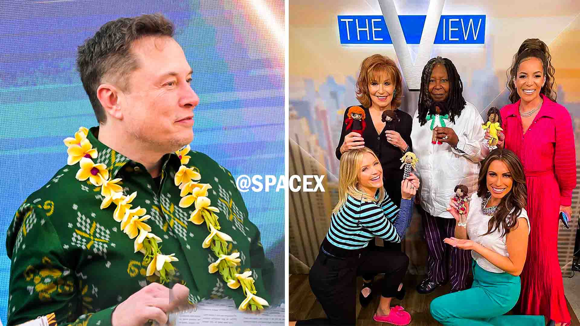 Elon Musk Is Buying 'The View' For $500 Million